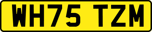 WH75TZM
