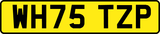 WH75TZP