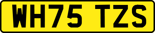 WH75TZS