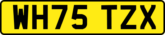 WH75TZX