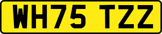 WH75TZZ