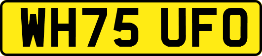 WH75UFO
