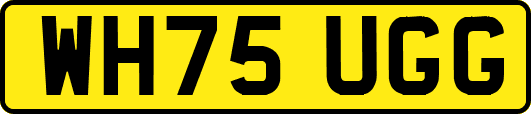 WH75UGG