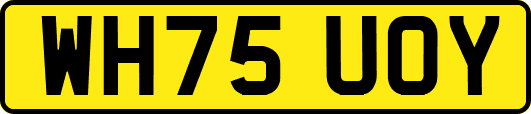 WH75UOY