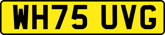 WH75UVG