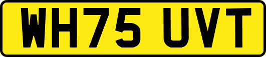 WH75UVT