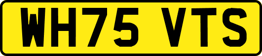WH75VTS