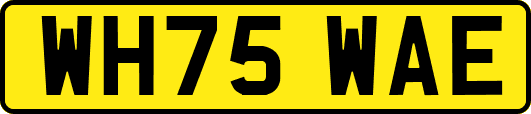 WH75WAE
