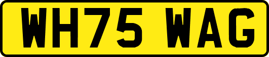 WH75WAG
