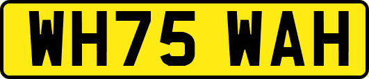 WH75WAH
