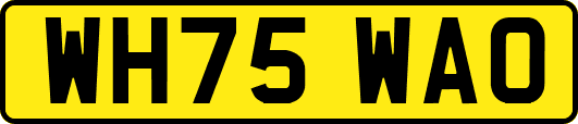 WH75WAO