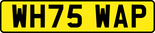 WH75WAP