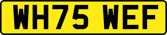 WH75WEF