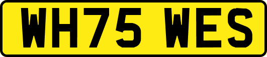 WH75WES