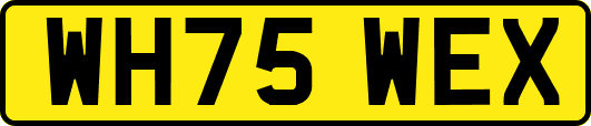 WH75WEX