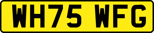 WH75WFG