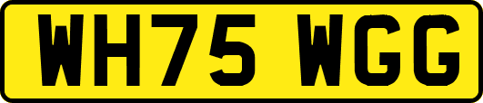 WH75WGG