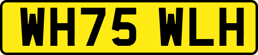 WH75WLH