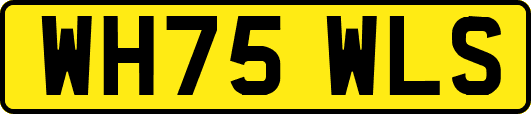 WH75WLS