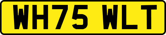 WH75WLT