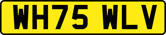 WH75WLV