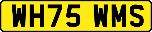 WH75WMS