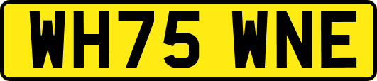 WH75WNE