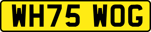 WH75WOG