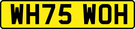 WH75WOH