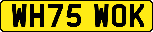 WH75WOK