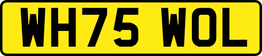 WH75WOL
