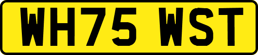 WH75WST