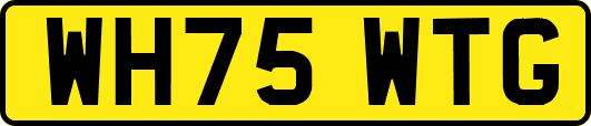WH75WTG