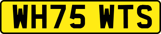 WH75WTS