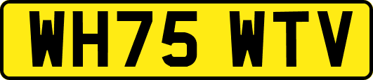 WH75WTV