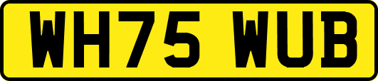 WH75WUB