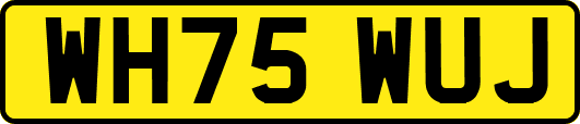 WH75WUJ