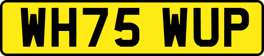 WH75WUP