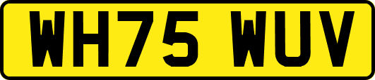 WH75WUV