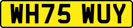 WH75WUY