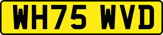 WH75WVD