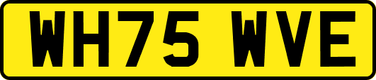 WH75WVE