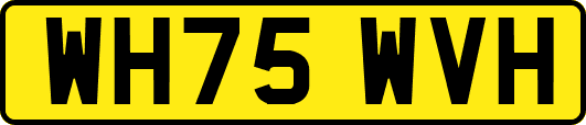 WH75WVH
