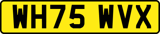 WH75WVX