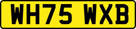 WH75WXB