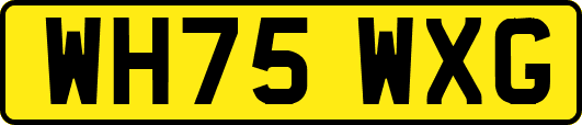 WH75WXG