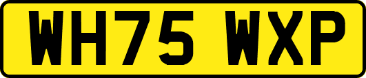 WH75WXP