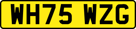 WH75WZG