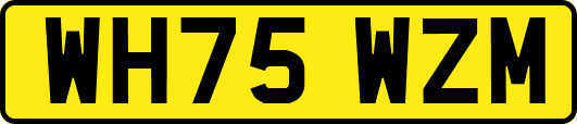 WH75WZM