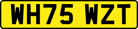 WH75WZT